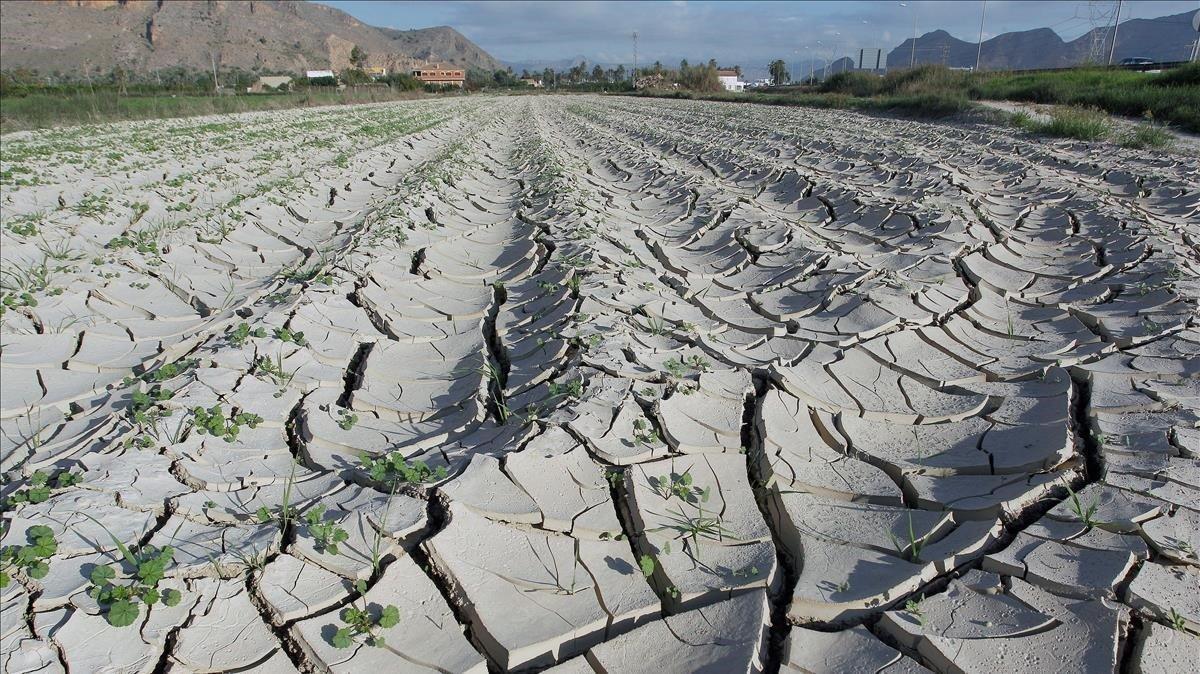 El 75% de la Península està en risc de desertització per la crisi climàtica