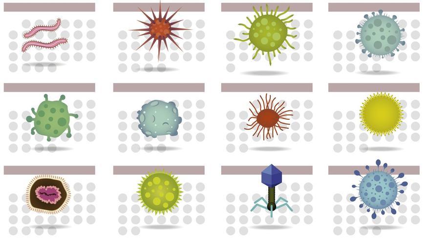 Calendario Las Enfermedades Infecciosas Brotan Por Estacion