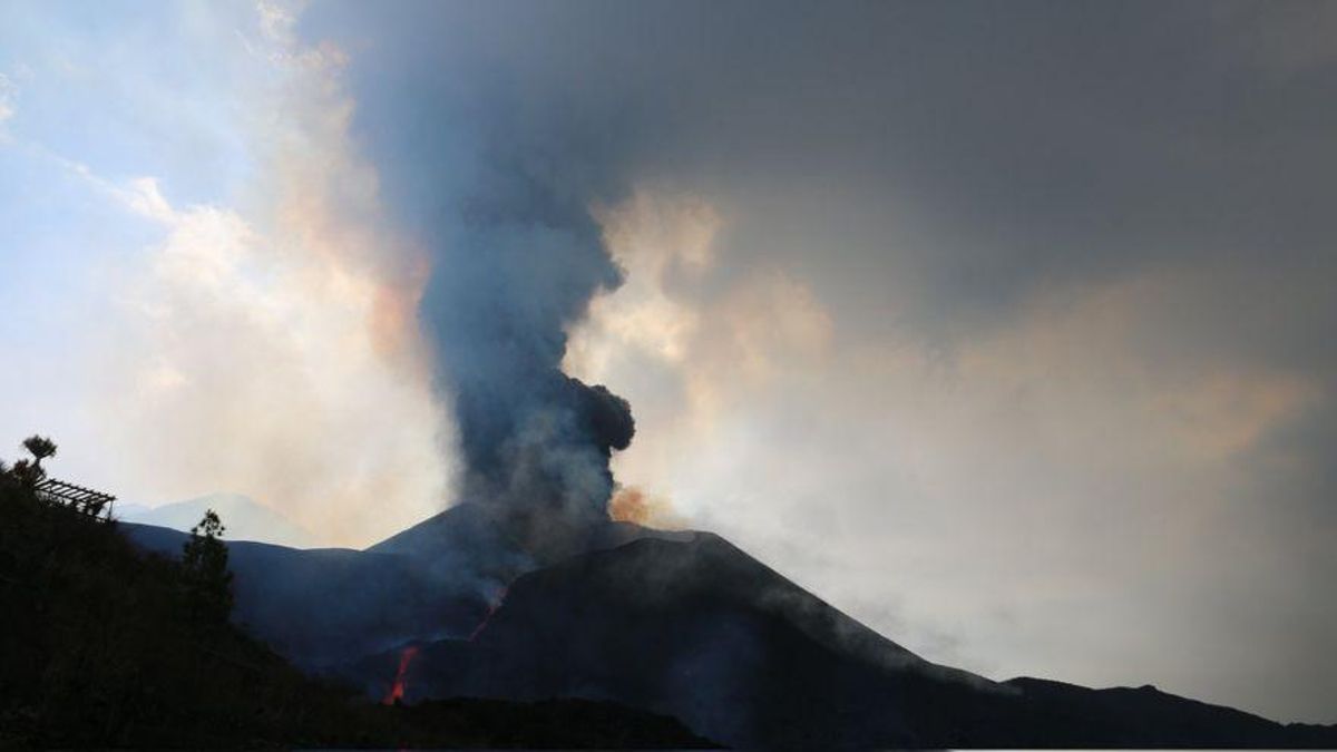 La Palma repite un seísmo de 4,5 grados, el de mayor magnitud hasta ahora La Palma repite un seísmo de 4,5 grados, el de mayor magnitud hasta ahora