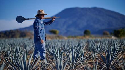 Volcán de mi Tierra, el tequila artesanal más premium de Moët Hennessy