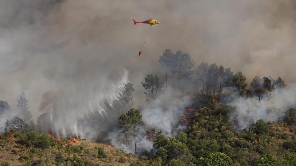 L’incendi de Castellví i Martorell, causat per una negligència humana