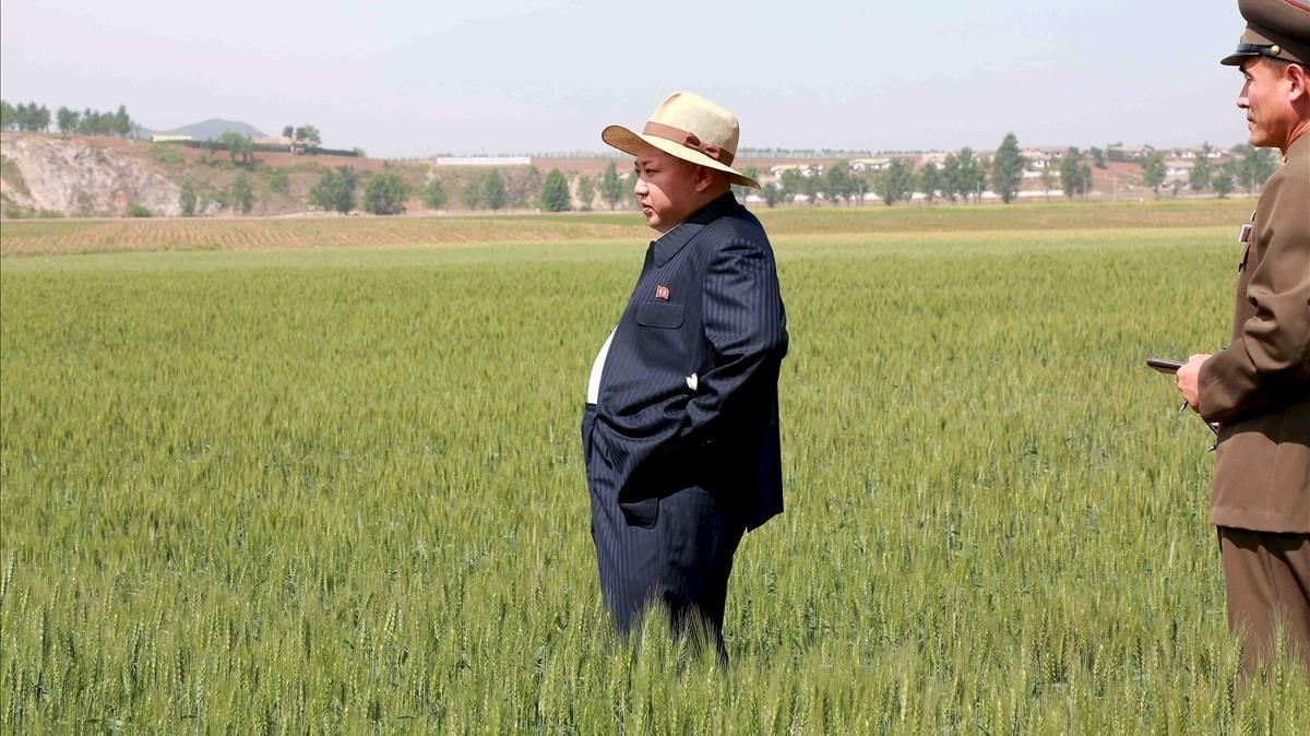 Kim Jong-un visita una granja custodiada por el Ejército norcoreano, en una imagen difundida por la agencia oficial norcoreana KCNA. Kim Jong-un visita una granja custodiada por el Ejército norcoreano, en una imagen difundida por la agencia oficial norcoreana KCNA.