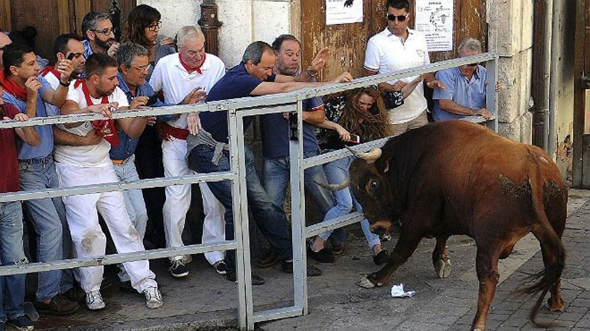 Un hombre de 60 años muere corneado en un encierro en Cuéllar (Segovia)
