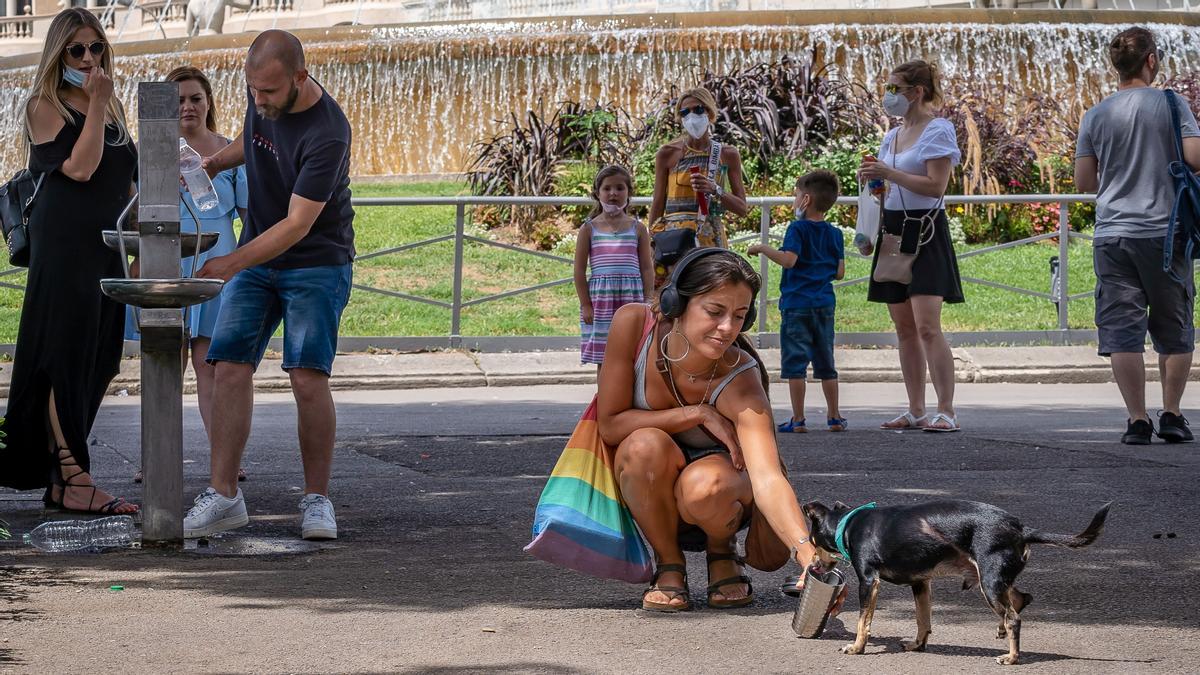 Una chica le da agua a su perro por la ola de calor en Barcelona