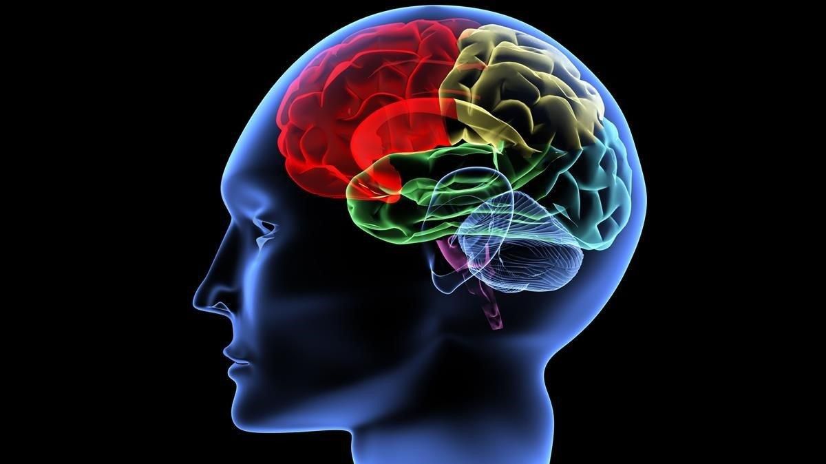 El ictus se ha convertido en una enfermedad cerebrovascular cada vez más en aumento. El ictus se ha convertido en una enfermedad cerebrovascular cada vez más en aumento.