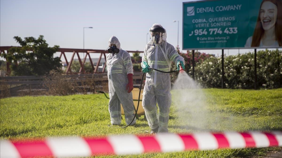 Trabajadores fumigan los mosquitos causantes del virus del Nilo en Coria del Río (Sevilla), el pasado 17 de agosto.