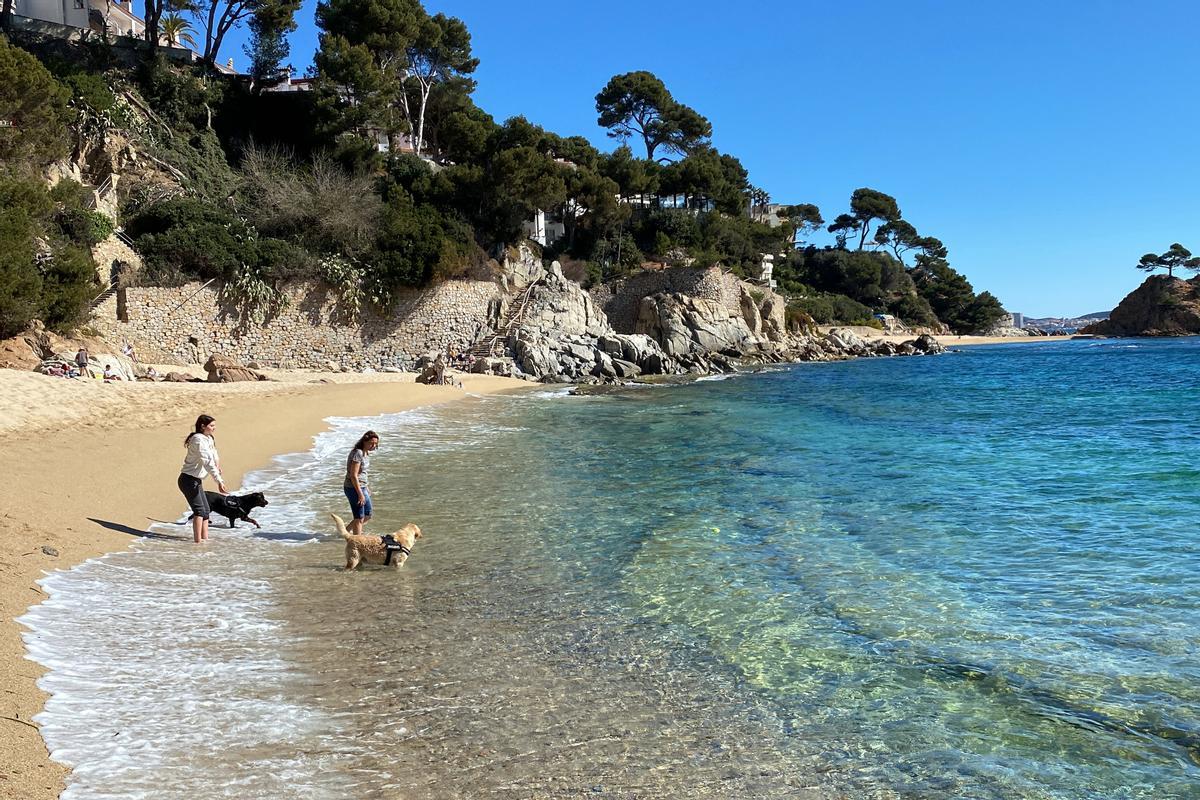 La nueva playa de perros de Calonge y Platja d’Aro.