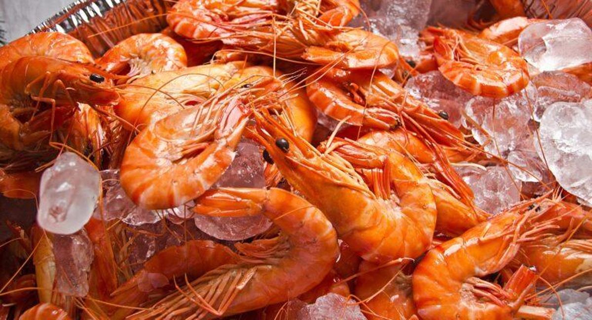Los langostinos son bajos en calorías, altos en proteínas… ¿Y el colesterol? Los langostinos son bajos en calorías, altos en proteínas… ¿Y el colesterol?