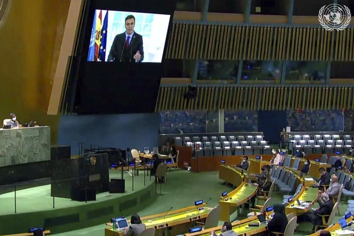 Pedro Sánchez, durante su discurso en la Asamblea General de Naciones Unidas via ’on line’ desde Madrid. Pedro Sánchez, durante su discurso en la Asamblea General de Naciones Unidas via ’on line’ desde Madrid.