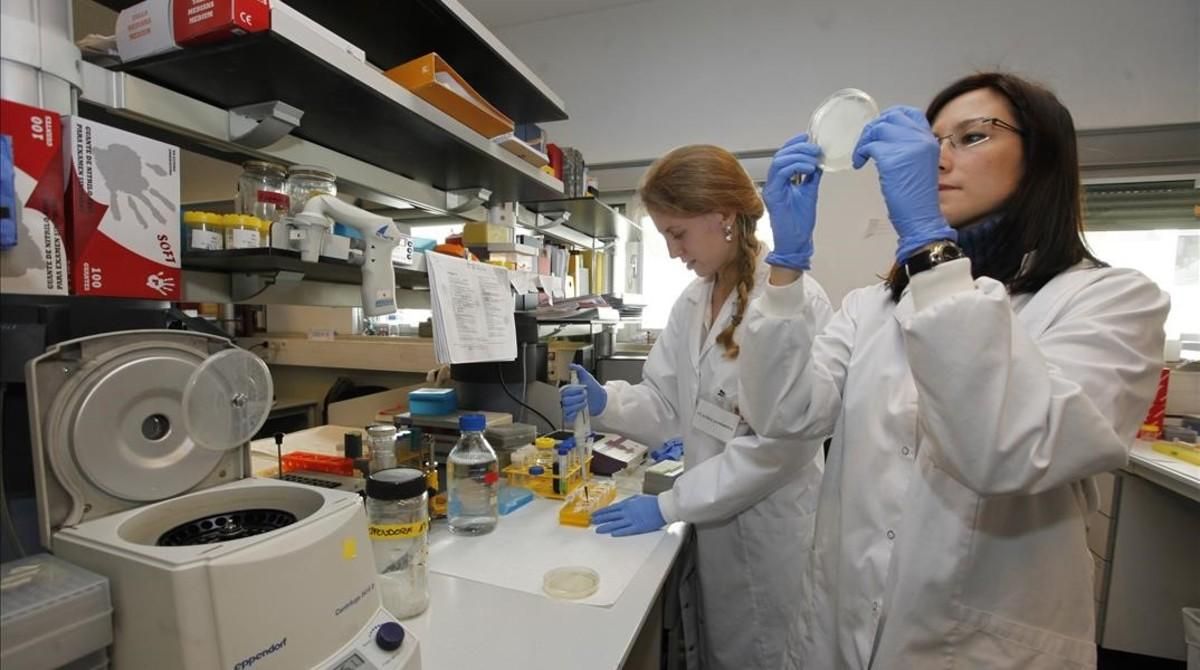 Investigadoras especialistas en biotecnología animal de la Universitat Autònoma de Barcelona. Investigadoras especialistas en biotecnología animal de la Universitat Autònoma de Barcelona.