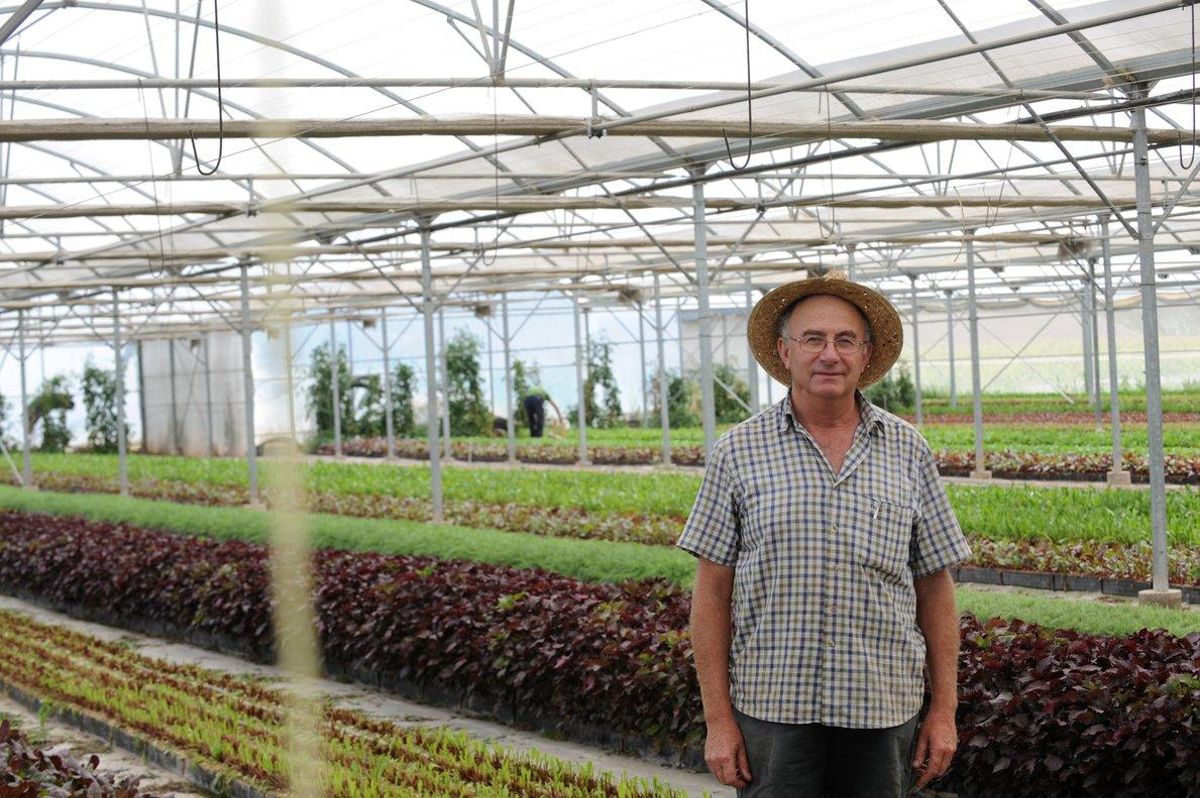 El agricultor Josep Pàmies, que promueve productos naturales para curar enfermedades. El agricultor Josep Pàmies, que promueve productos naturales para curar enfermedades.