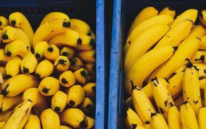 Plátanos dentro de cajas.