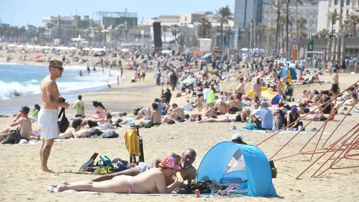 Gente tomando el sol y bañándose en la playa de la Barceloneta.