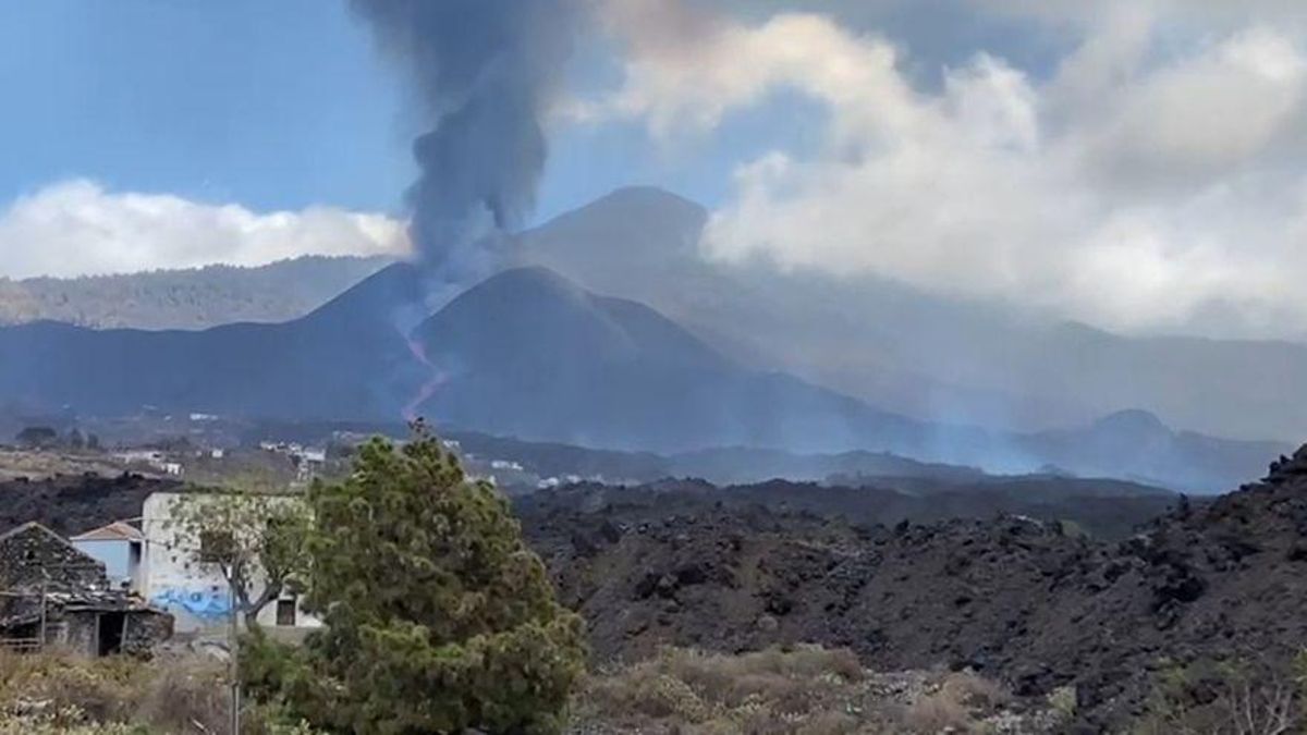 Més de 40 terratrèmols sacsegen La Palma en les últimes 24 hores Més de 40 terratrèmols sacsegen La Palma en les últimes 24 hores