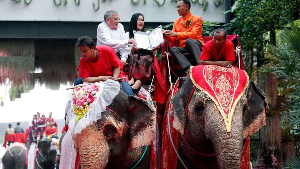 San Valentín 2020. Decenas de parejas se casan a lomos de elefantes en Tailandia.