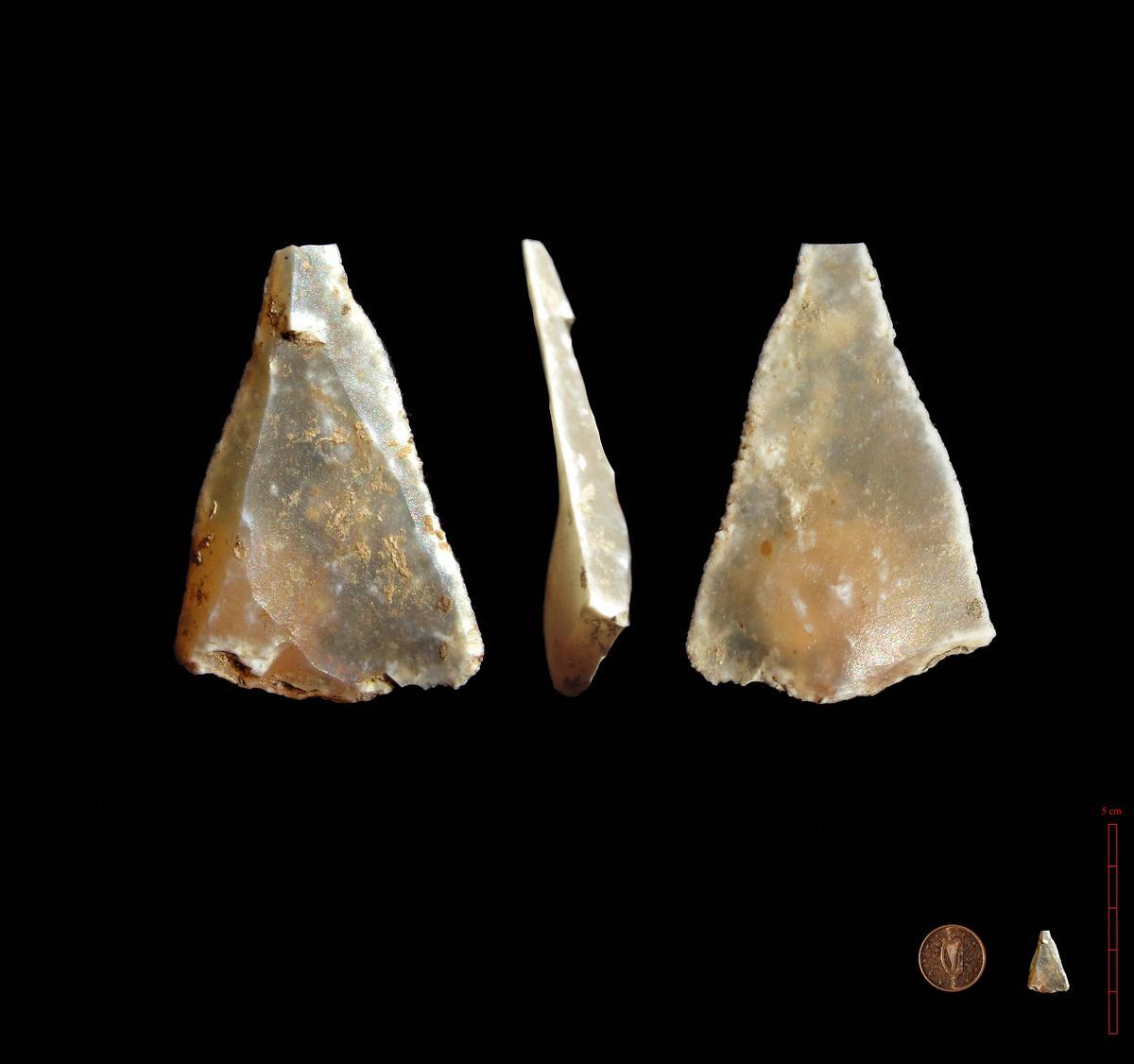Restos de homo sapiens encontrados en Francia.
