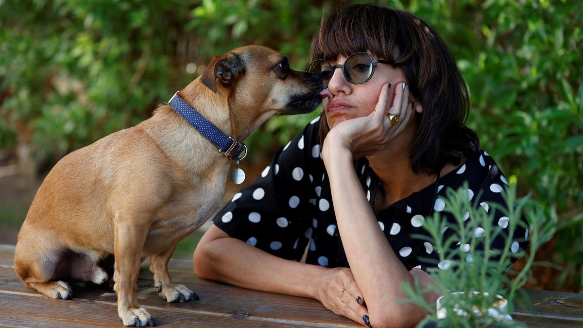 Ana Lily Amirpour, directora de ’Mona Lisa and the Blood Moon’, y su inseperable Benny, fotografiados en el Festival de Sitges Ana Lily Amirpour, directora de ’Mona Lisa and the Blood Moon’, y su inseperable Benny, fotografiados en el Festival de Sitges