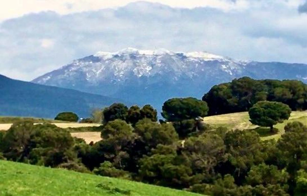 El Montseny, nevado, a primera hora de la mañana. El Montseny, nevado, a primera hora de la mañana.