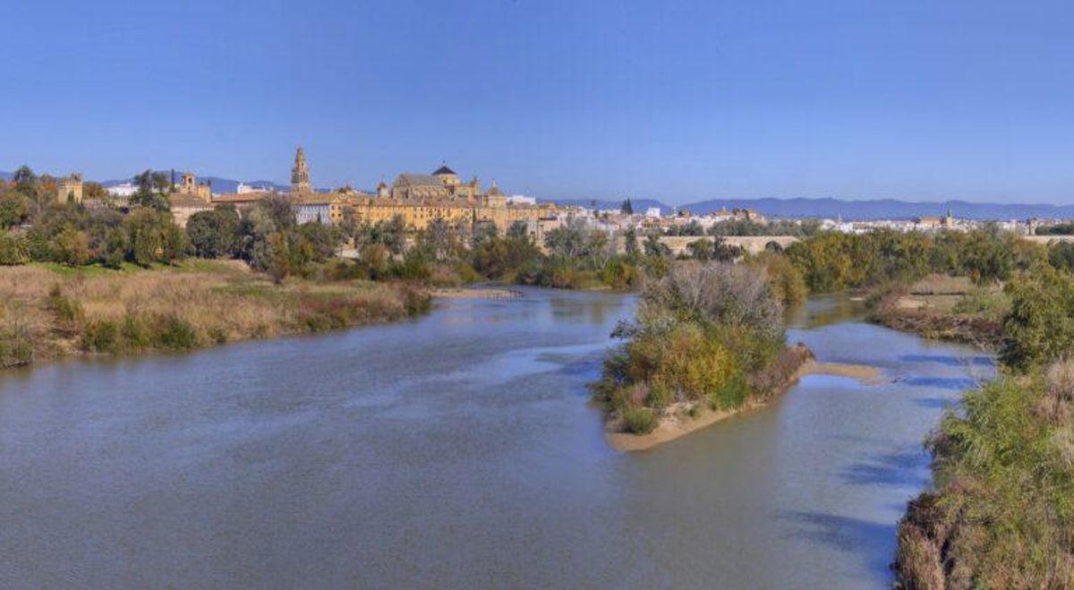 El río Guadalquivir ya tiene más peces exóticos que autóctonos El río Guadalquivir ya tiene más peces exóticos que autóctonos