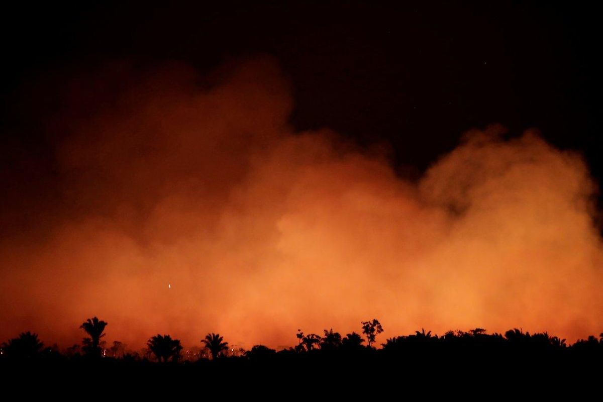 Incendios forestales en la región del Amazonas en Brasil. Incendios forestales en la región del Amazonas en Brasil.
