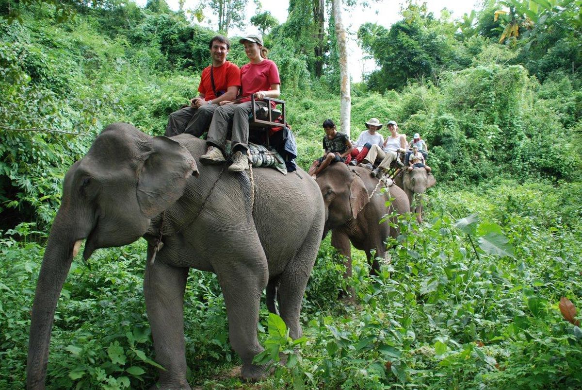 Turistas de paseo en elefante. Turistas de paseo en elefante.