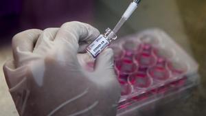 Trabajos en busca de una vacuna para el coronavirus en un laboratorio.