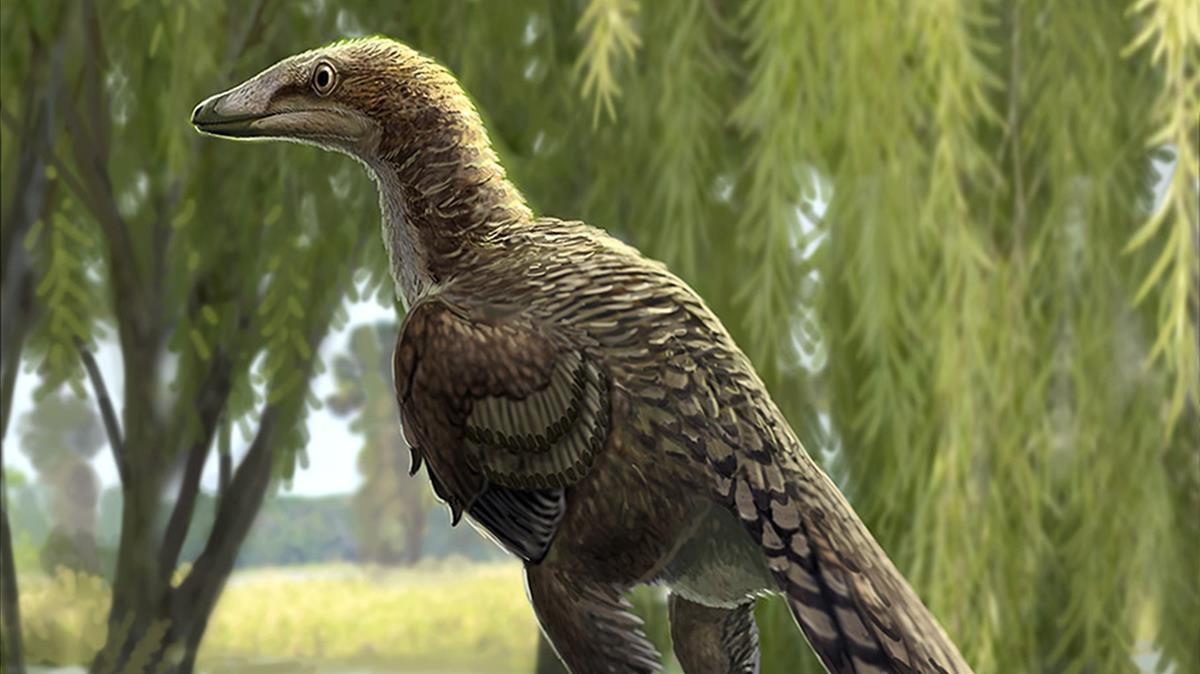 Investigadores apuntan a una nueva especie de dinosaurio carnívoro que vivía en los Pirineos Investigadores apuntan a una nueva especie de dinosaurio carnívoro que vivía en los Pirineos