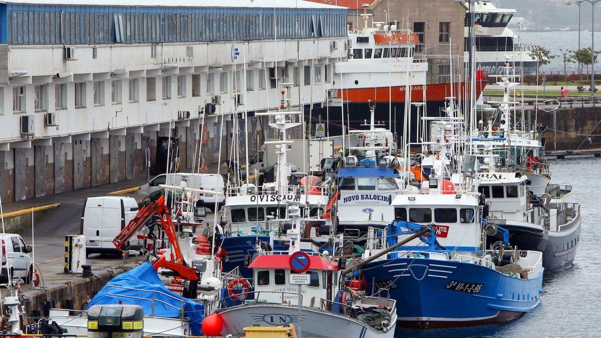 Primera denuncia contra Bruselas por el veto a la pesca de fondo: "Es prevaricación"