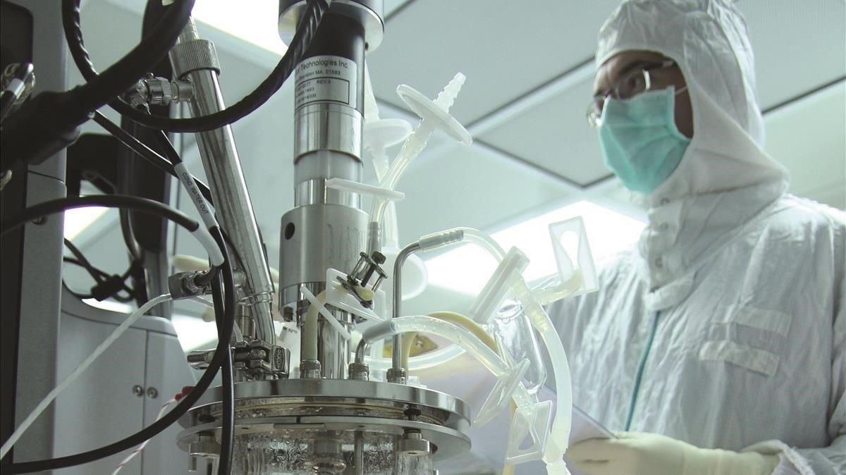 Un científico experimenta con medicamentos para tratar el coronavirus en Jerusalén, el pasado 12 de mayo. Un científico experimenta con medicamentos para tratar el coronavirus en Jerusalén, el pasado 12 de mayo.