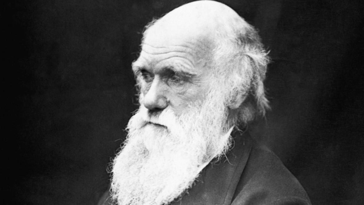 Retrato del teórico de la evolución, Charles Darwin.