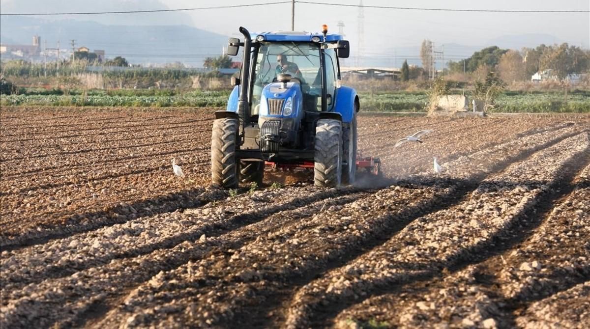 Un payés ara el campo en un terreno de El Prat. Un payés ara el campo en un terreno de El Prat.