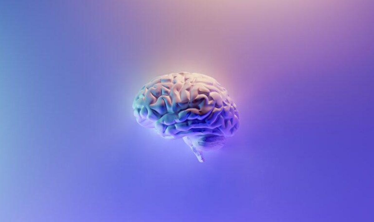 Día Mundial del Cerebro: Claves para mantenerlo sano y en forma Día Mundial del Cerebro: Claves para mantenerlo sano y en forma