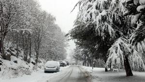 Una docena de carreteras, afectadas por la nieve en Catalunya, principalmente en el Pallars Sobirà, Aran y Alta Ribagorça. En la foto, la carretera que lleva a la estación de esquí de Espot, cubierta de nieve.