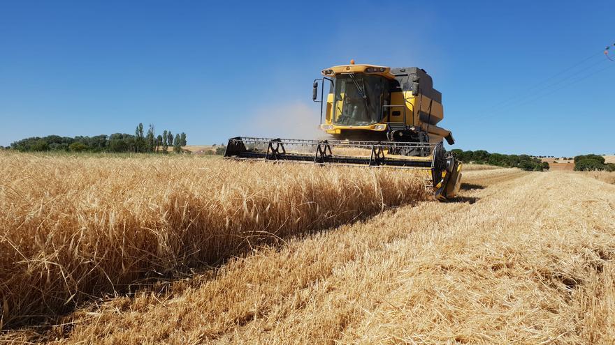 The Spanish countryside faces the entrance of tariff-free Ukrainian grain divided