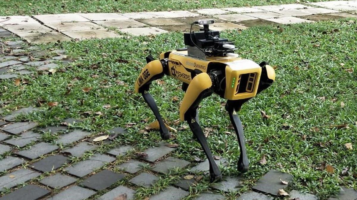 El robot-perro ’Spot’, en pleno patrullaje.