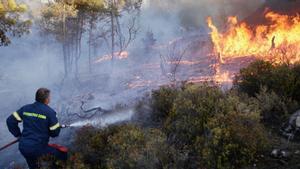 Lucha contra el fuego en Asklipio, en Rodas, donde residentes y más de 70.000 turistas han sido evacuados.