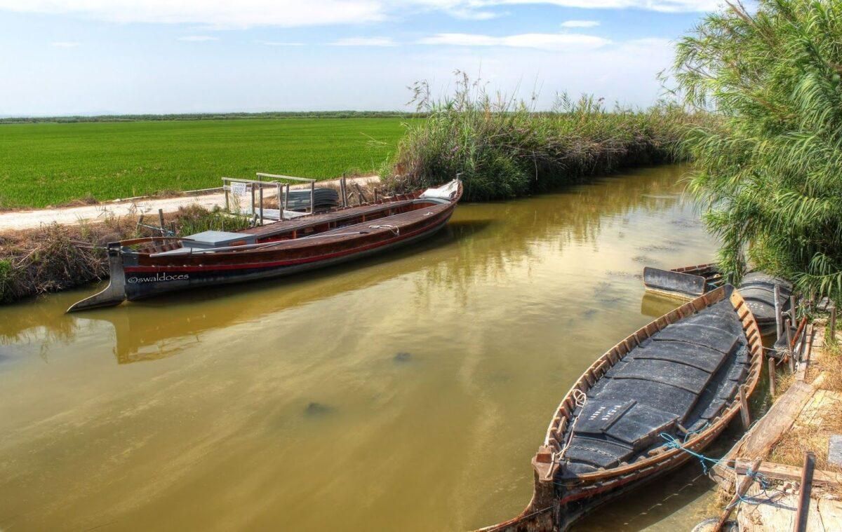Cuando la Albufera de Valencia estuvo a punto de ser urbanizada Cuando la Albufera de Valencia estuvo a punto de ser urbanizada