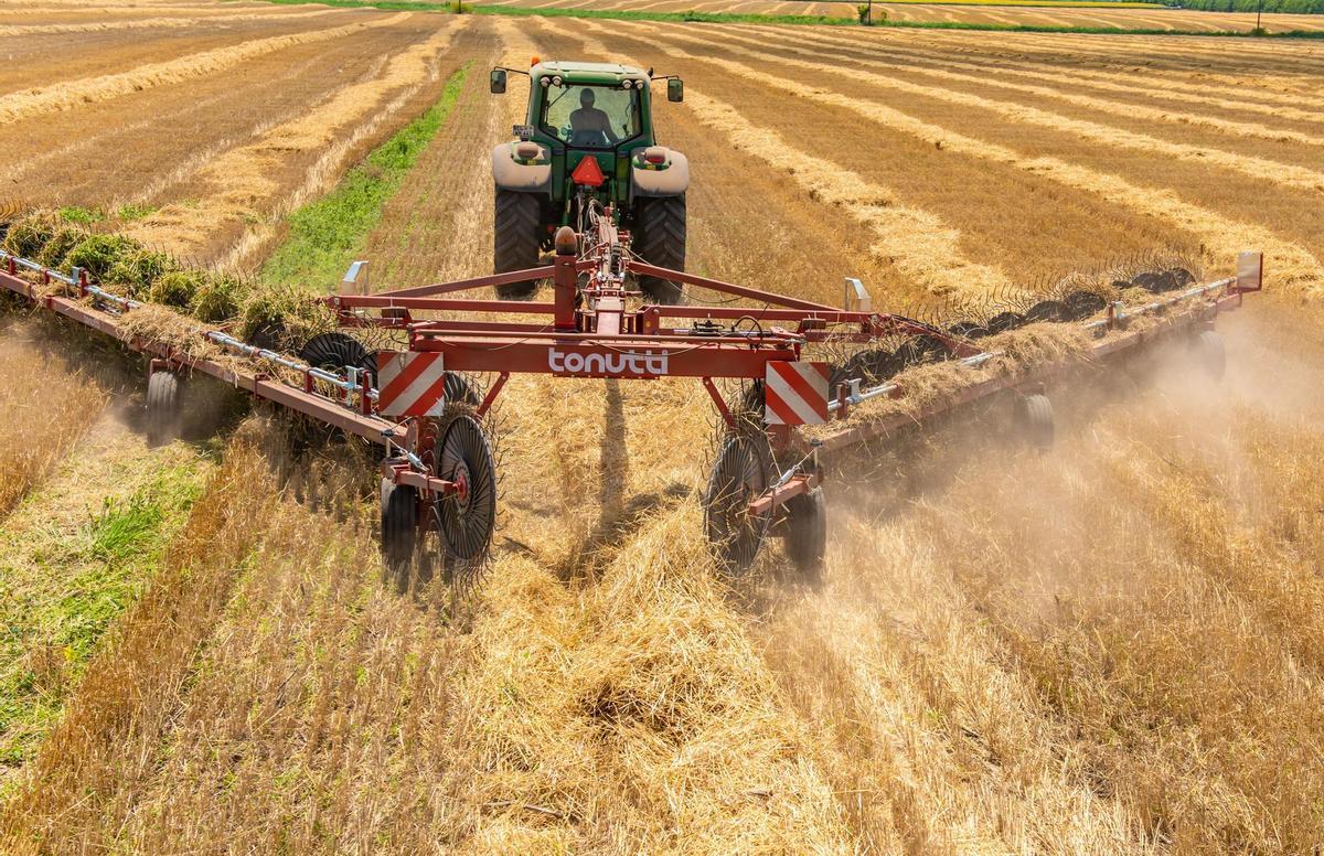 Polonia asegura haber llegado a un acuerdo sobre el tránsito de grano ucraniano