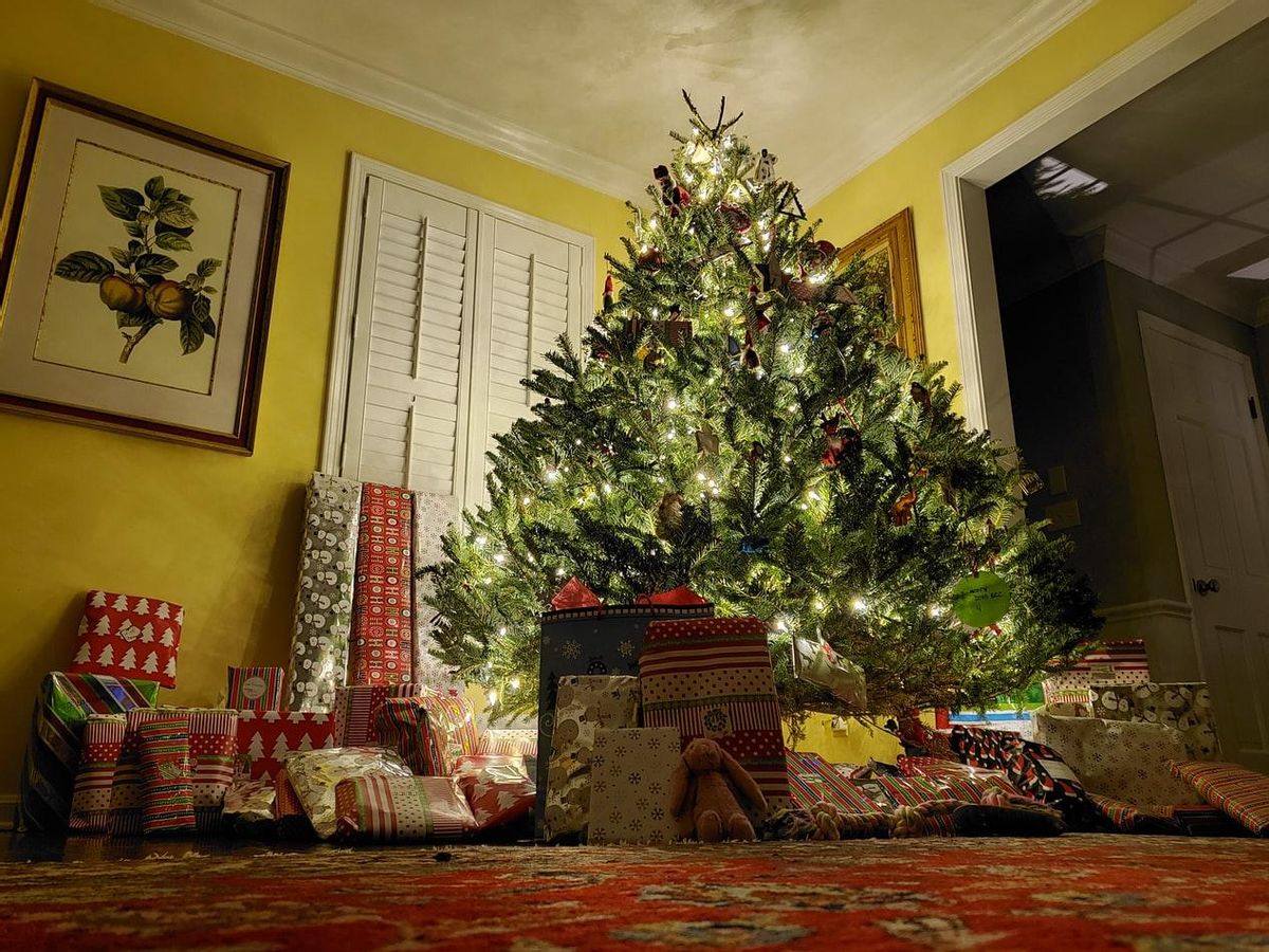 Un árbol de Navidad. Un árbol de Navidad.