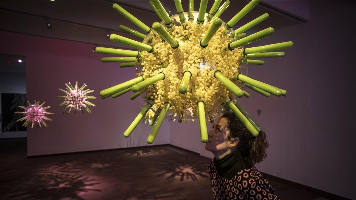 La instalación ’Relaciones mutualistas’, de Jerónimo Hagerman, permite introducir la cabeza en una esfera llena de flores y experimentar lo que sienten las abejas. 