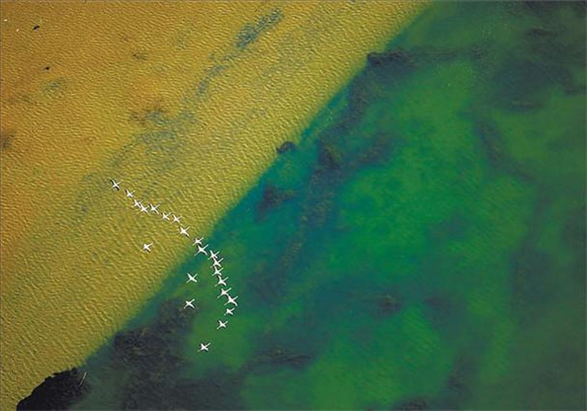 Delta de l’Ebre. Delta de l’Ebre.