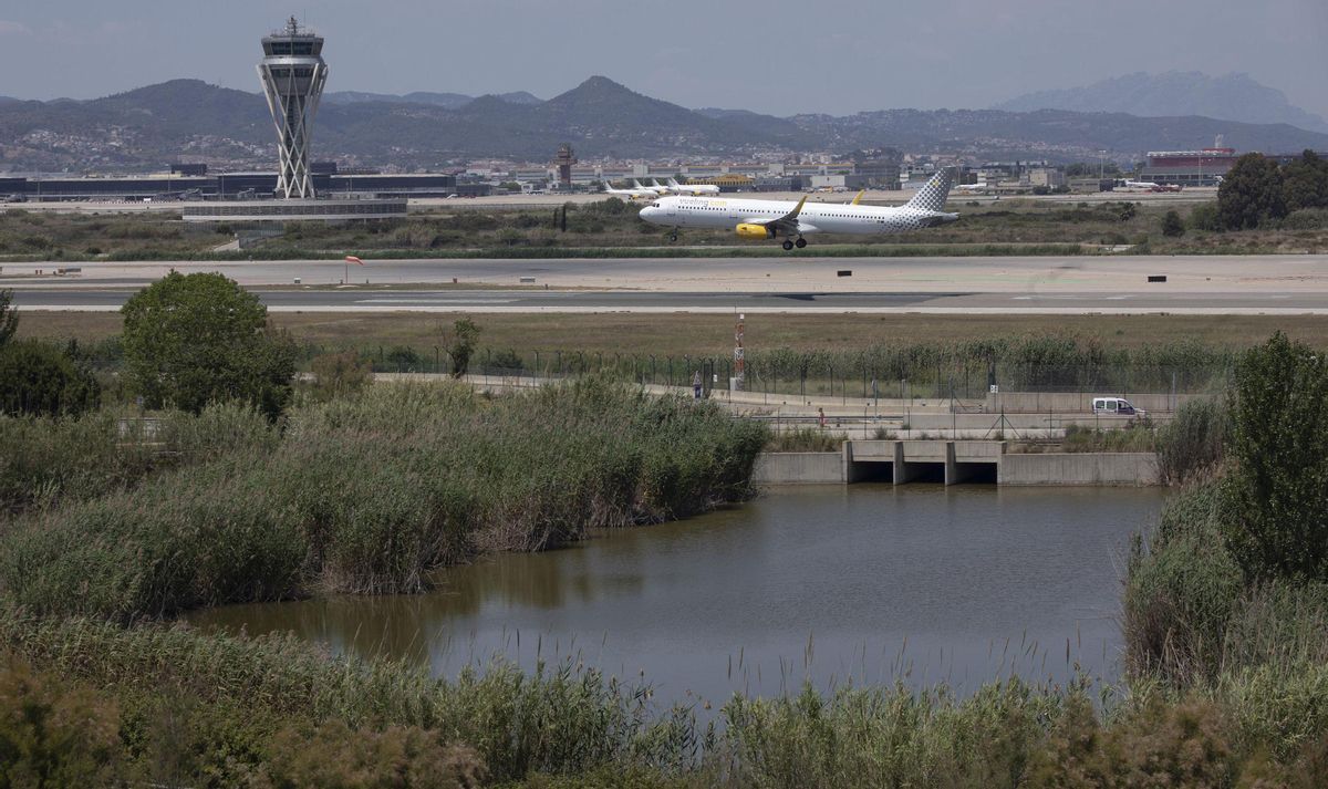 El aeropuerto del Prat limita con el espacio natural de La Ricarda El aeropuerto del Prat limita con el espacio natural de La Ricarda