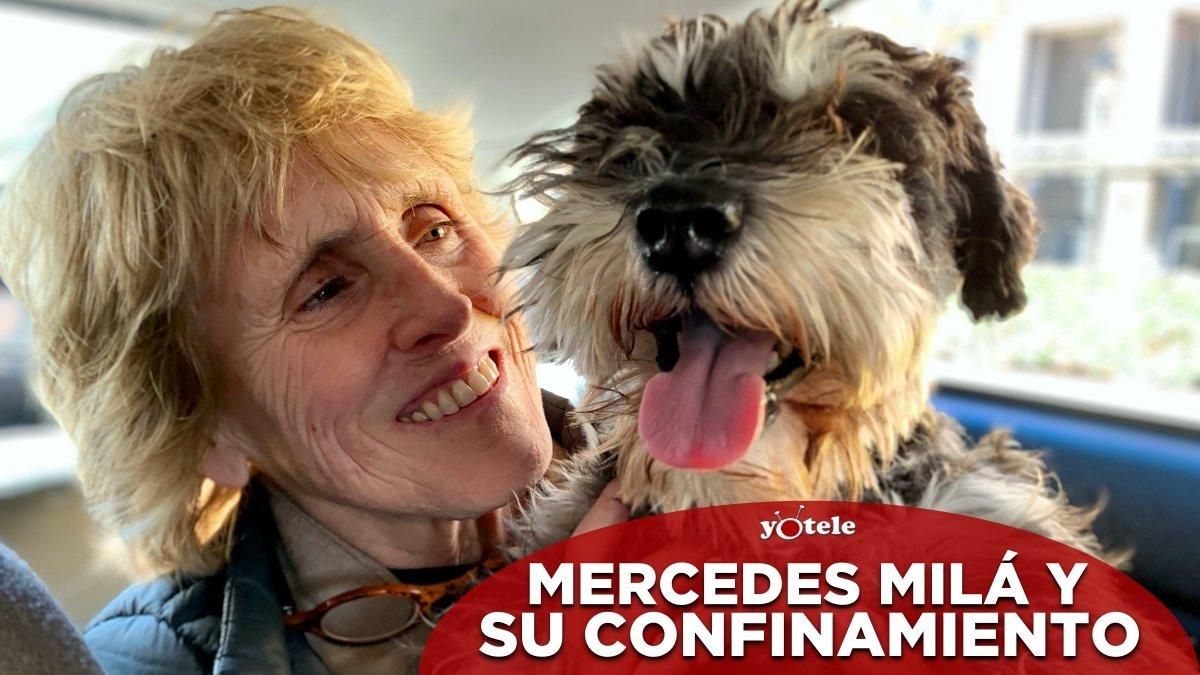 Mercedes Milá y su perro Scott. Mercedes Milá y su perro Scott.