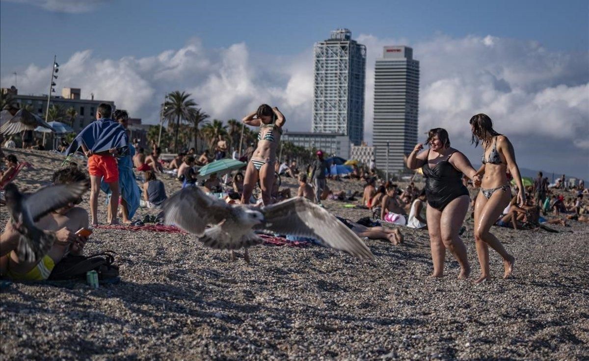 La playa de la Barceloneta, el pasado 15 de julio. La playa de la Barceloneta, el pasado 15 de julio.