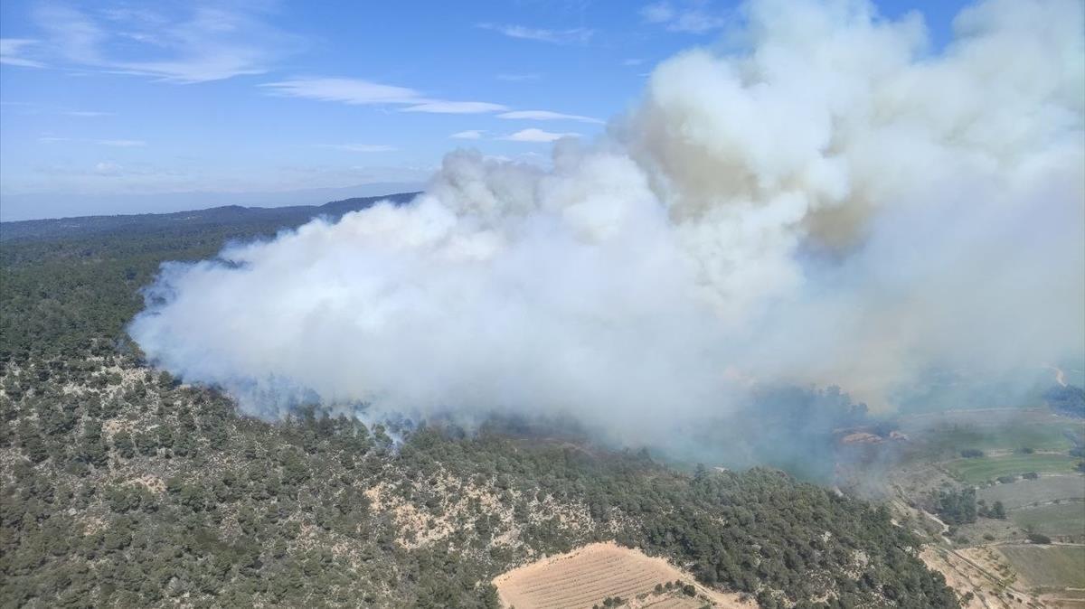 Un incendio forestal en la provincia de Tarragona arrasa 30 hectáreas en tres municipios.