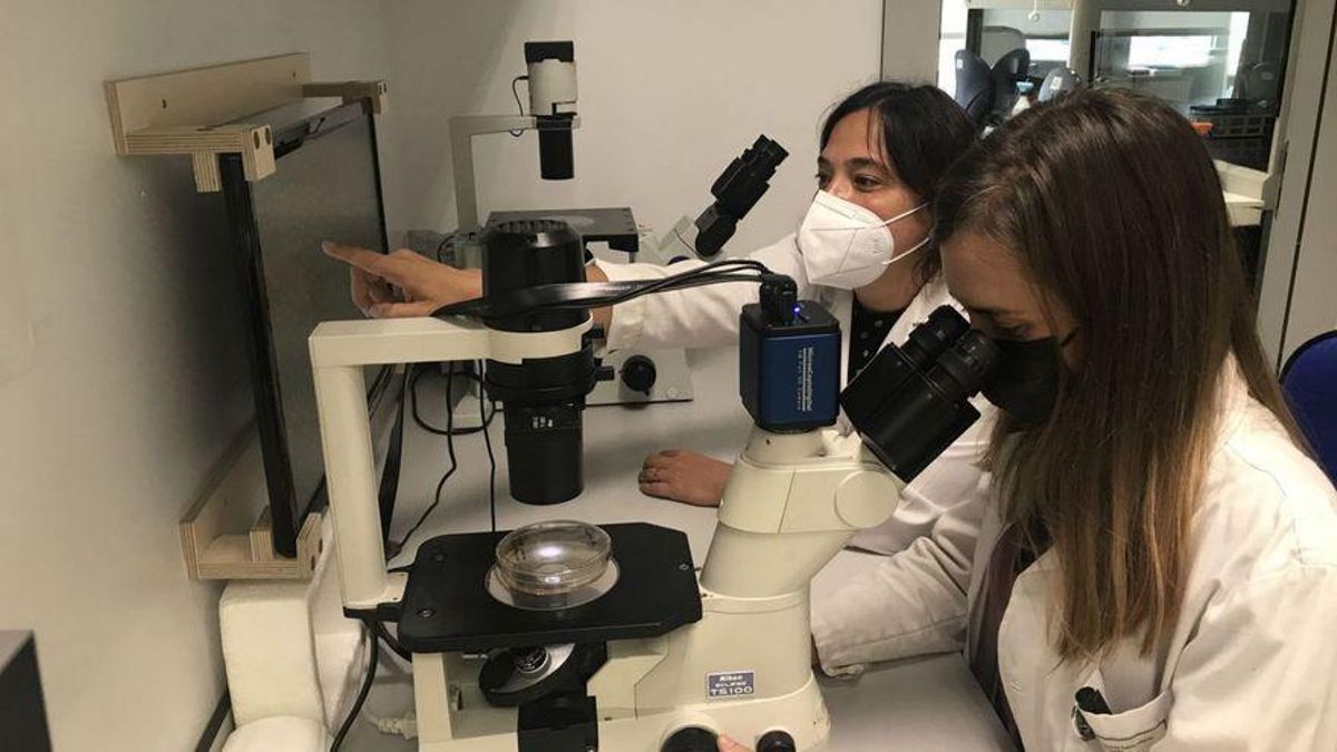 Día Internacional de la Mujer y la Niña en la Ciencia Día Internacional de la Mujer y la Niña en la Ciencia