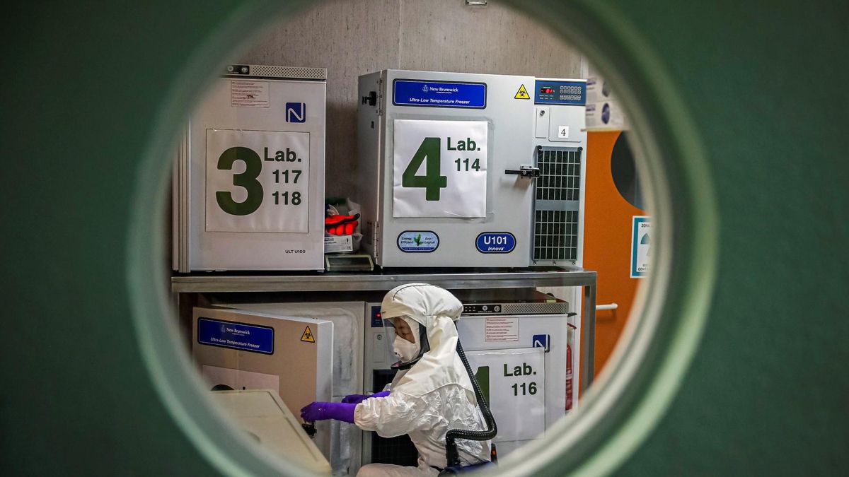 Un trabajador, en el laboratorio de alta seguridad en el Centro Nacional de Biotecnología en Madrid, en enero del año pasado. Un trabajador, en el laboratorio de alta seguridad en el Centro Nacional de Biotecnología en Madrid, en enero del año pasado.