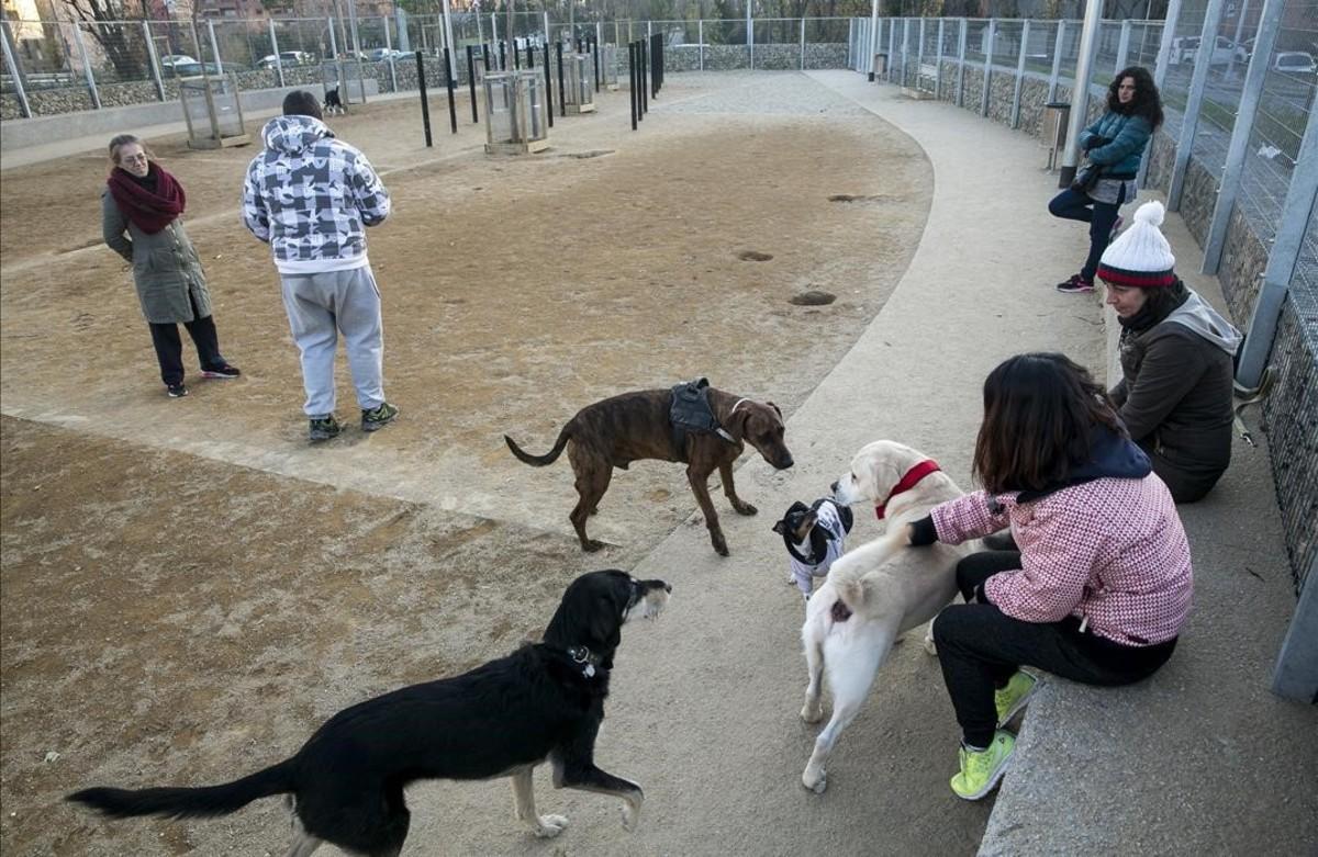 La zona de recreo para perros de Nou Barris, en Barcelona, se estrenó en 2017.