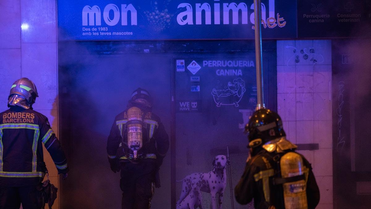 Mueren más de un centenar de mascotas en un incendio en una tienda de animales de Barcelona.