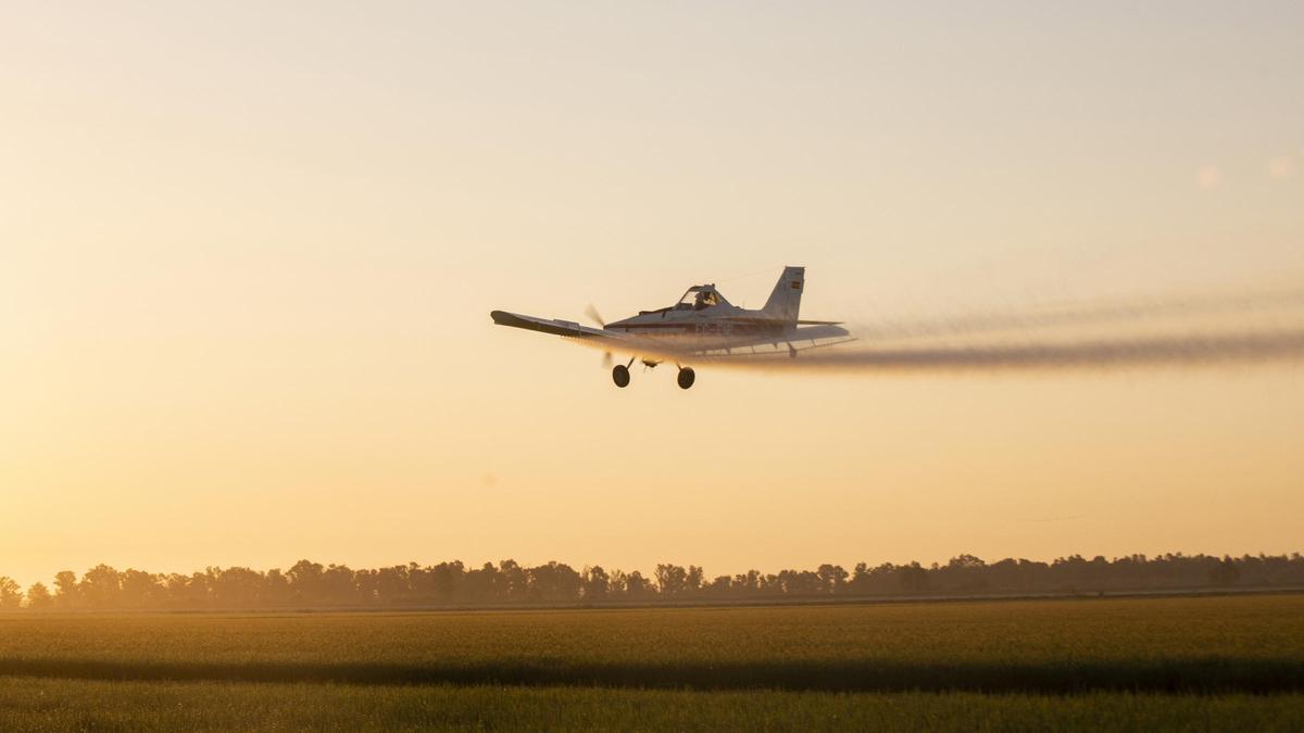 El marido de la alcaldesa de Zaragoza aterriza de emergencia con su avionetas